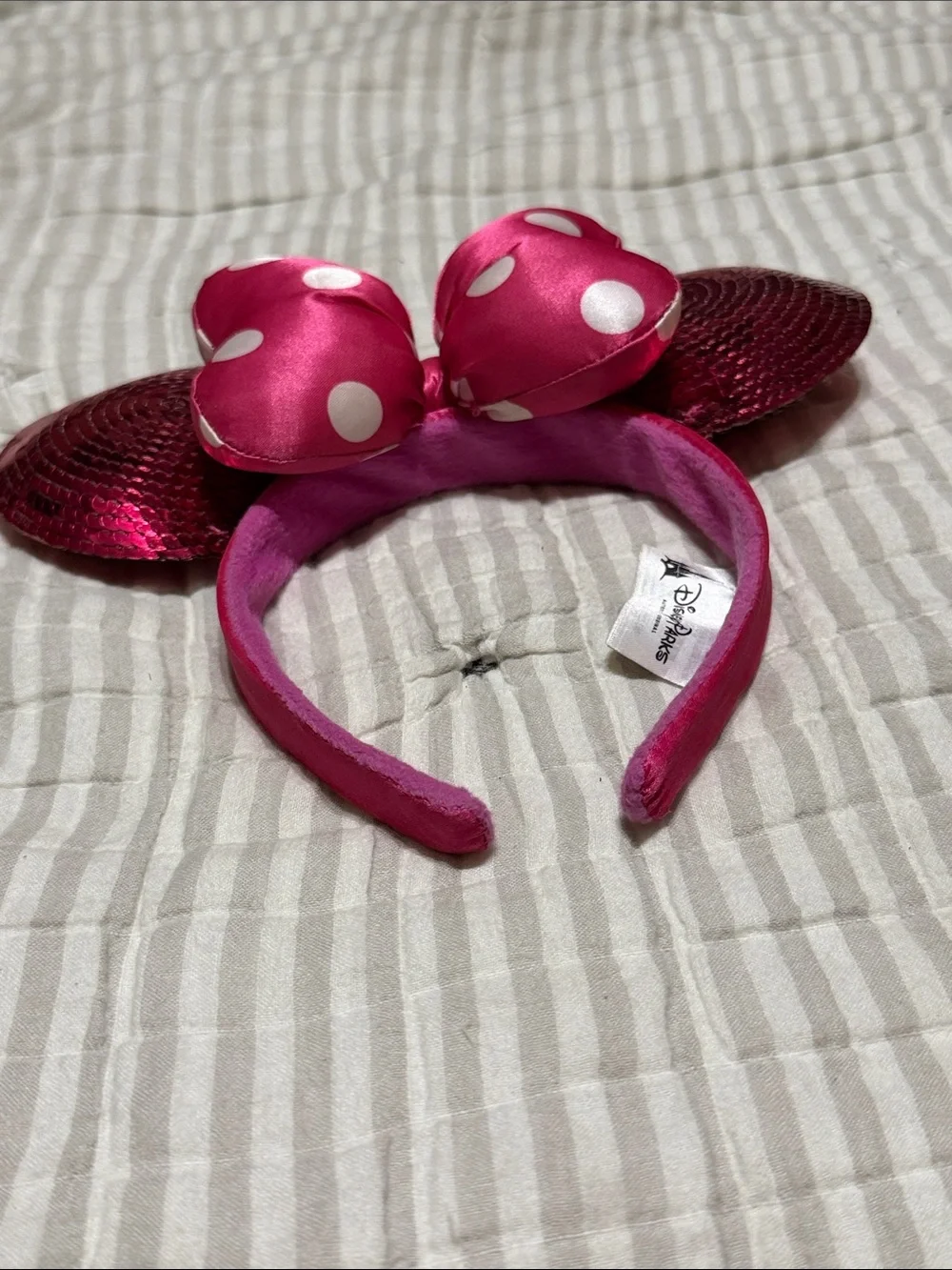 Pink Mickey Ears